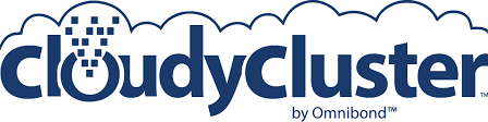 CloudyCluster